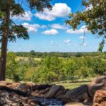 View across rolling East Texas pasture from a wooded hilltop near Lindale