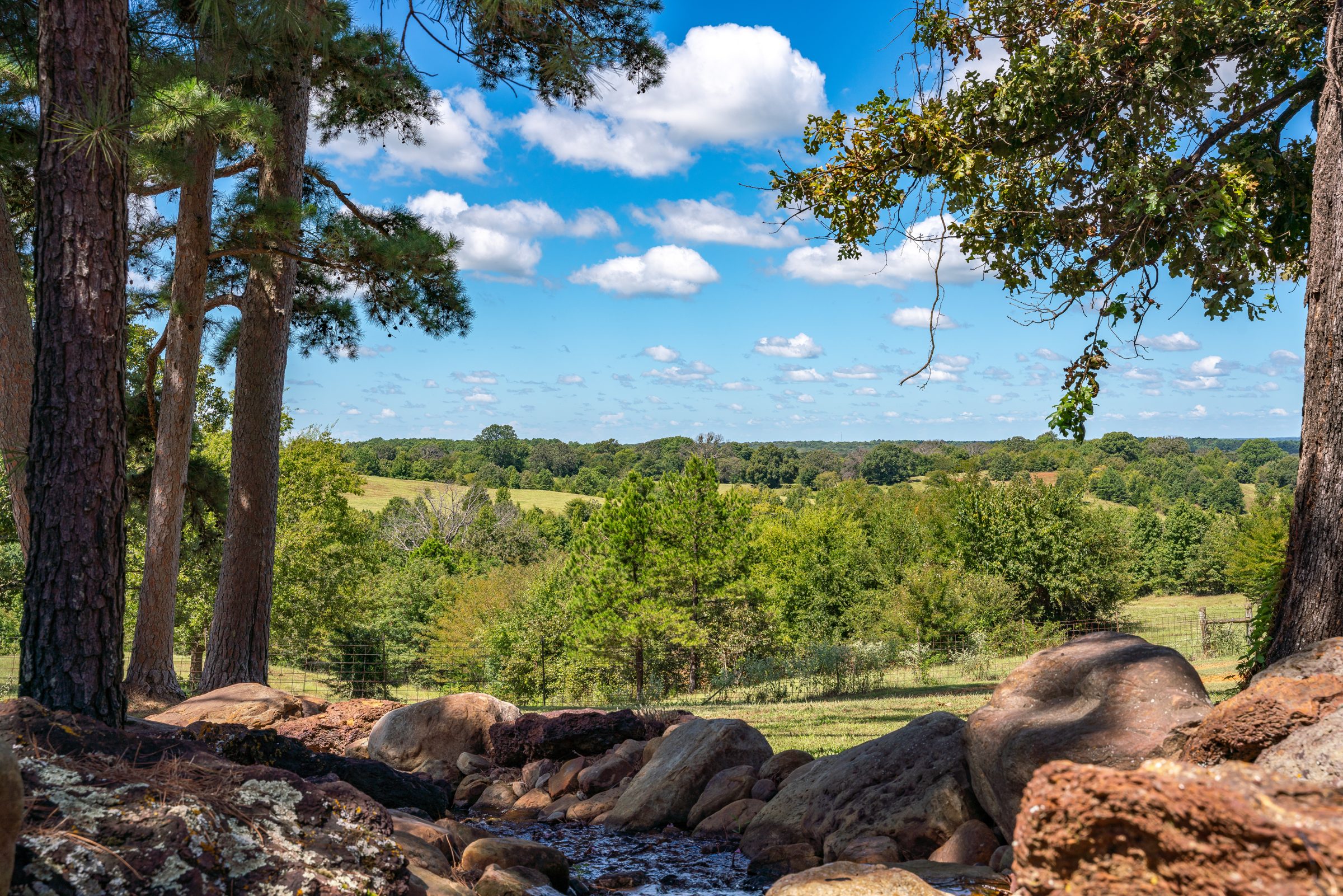 View across rolling East Texas pasture from a wooded hilltop near Lindale